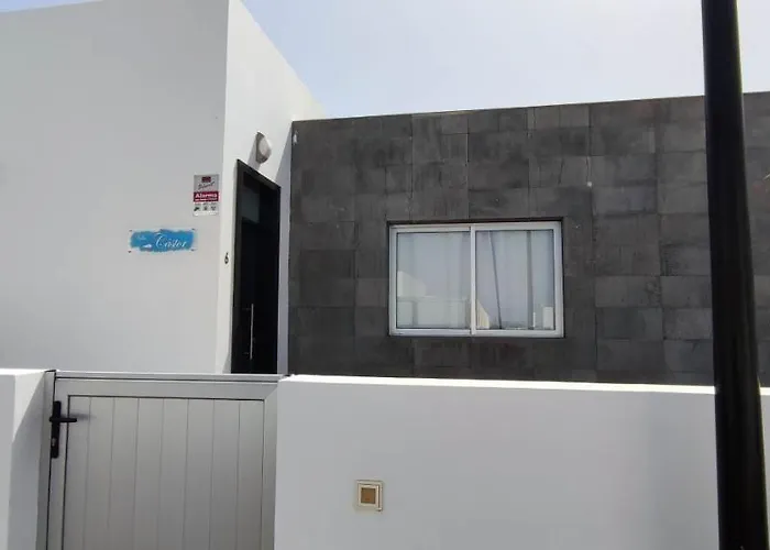 Castor Playa Blanca (Lanzarote)